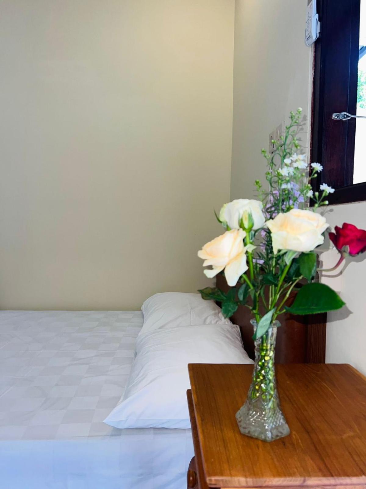 Zigiz Lovina Hostel Εξωτερικό φωτογραφία
